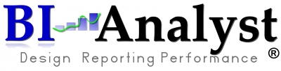 BIAnalyst GmbH & CO.KG