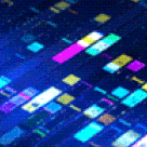 Binfo GmbH