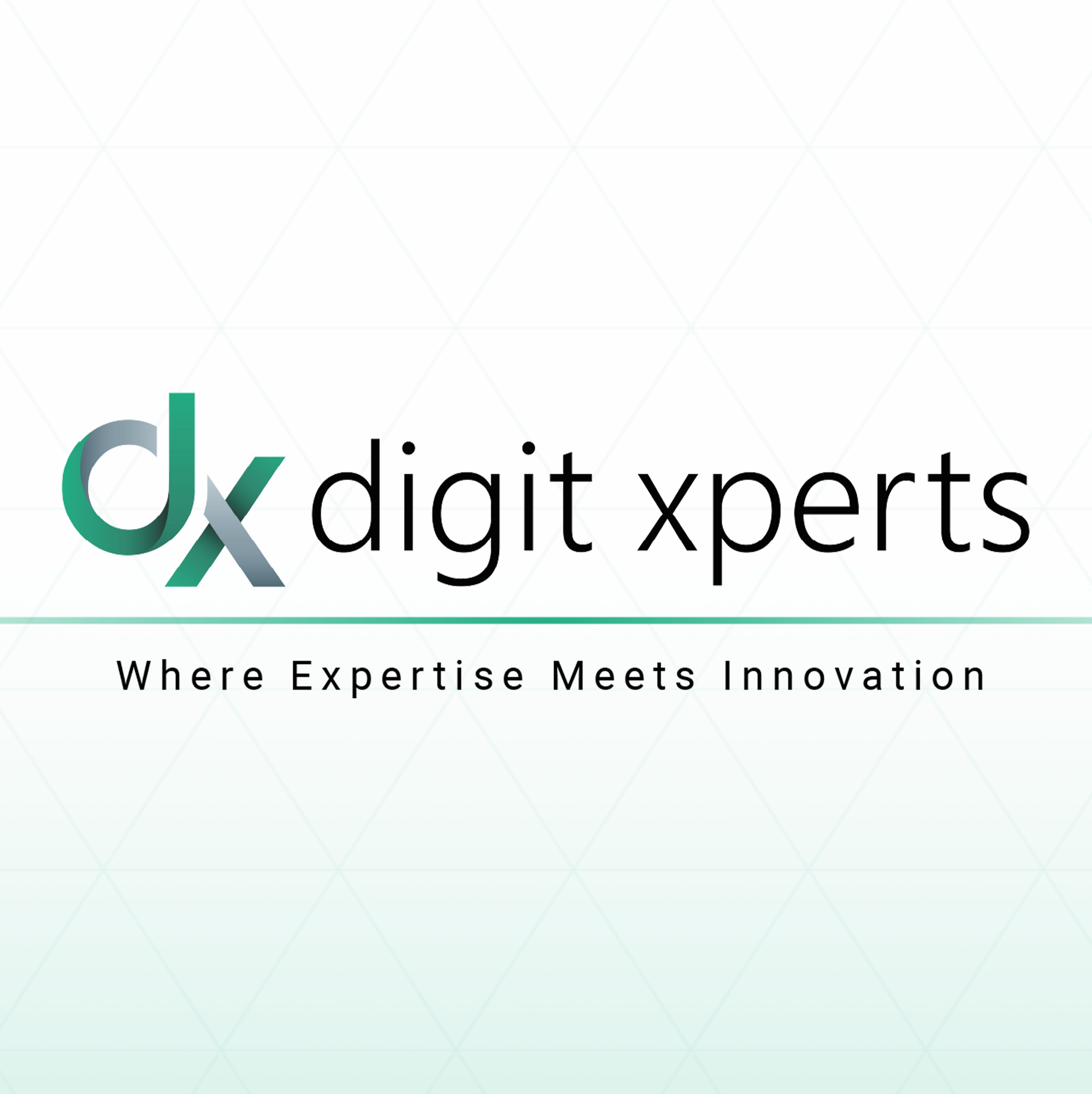 digit xperts GmbH