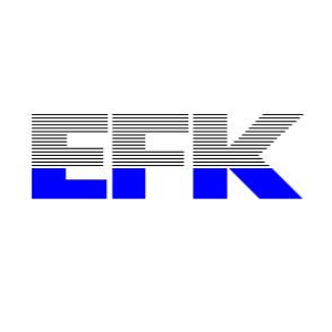 EFK IT Consulting GmbH