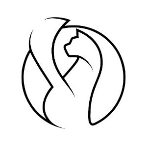 Paradox Cat GmbH
