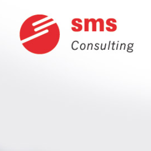 sms Consulting GmbH