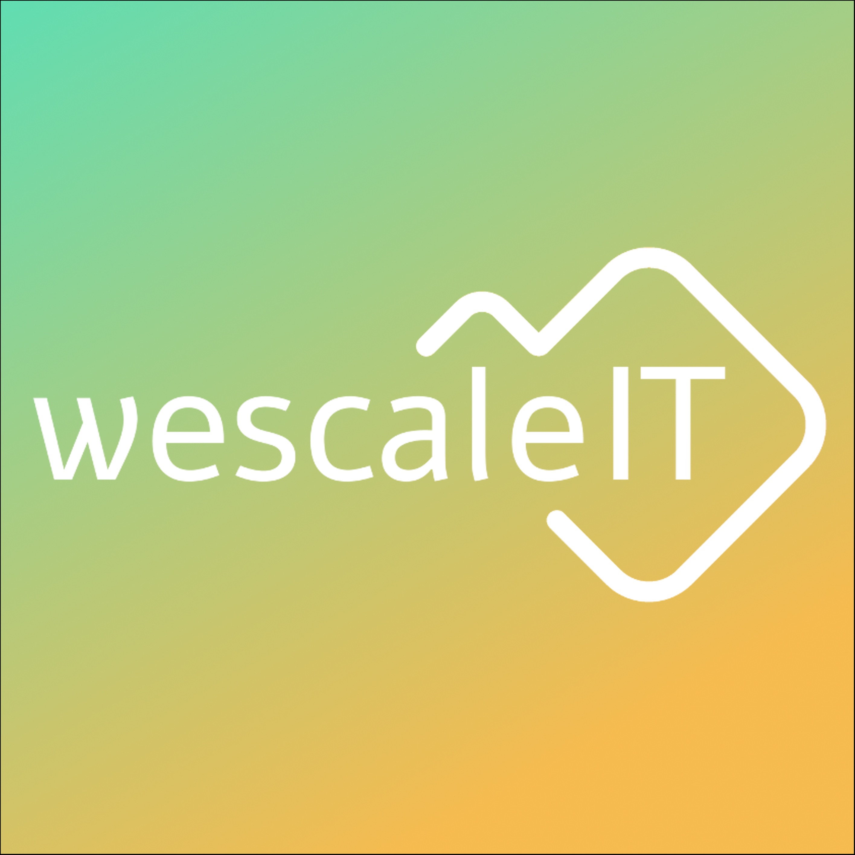 wescaleIT AG